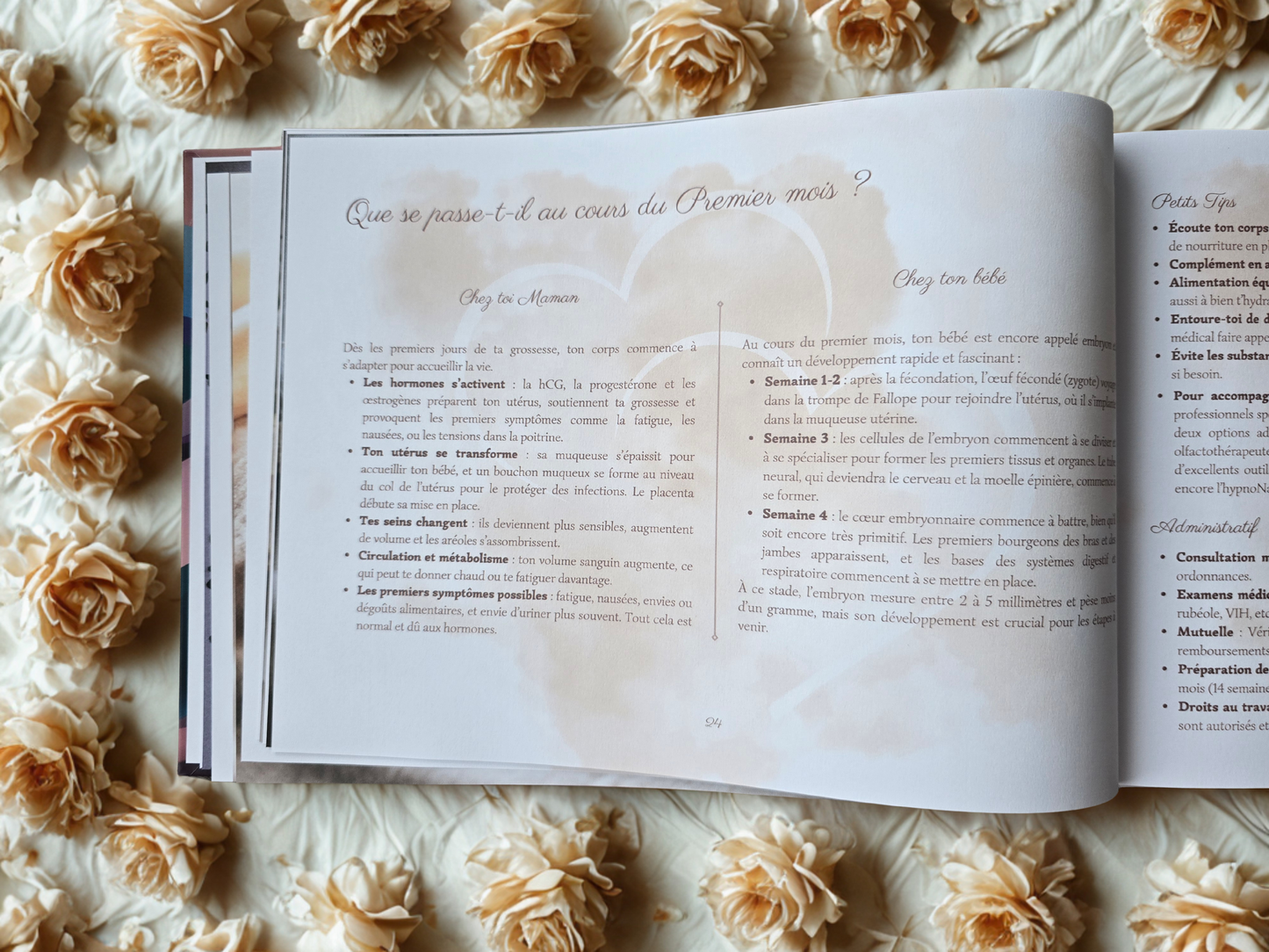 Journal de grossesse Mamely