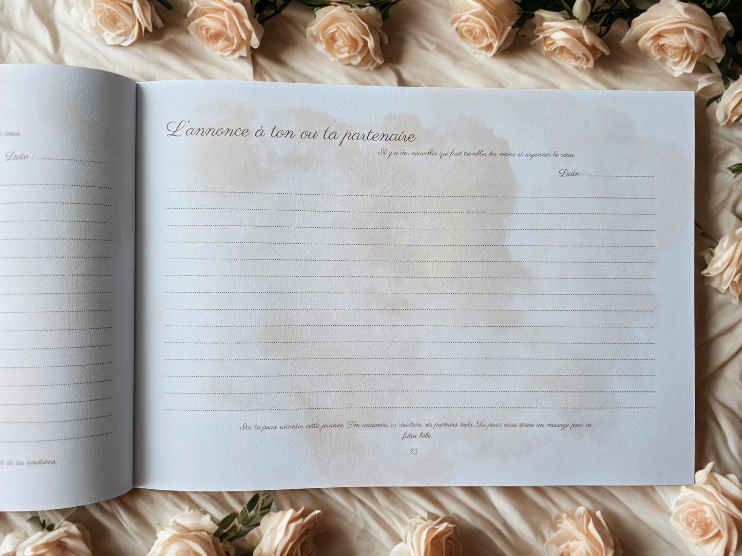 Journal de grossesse Mamely
