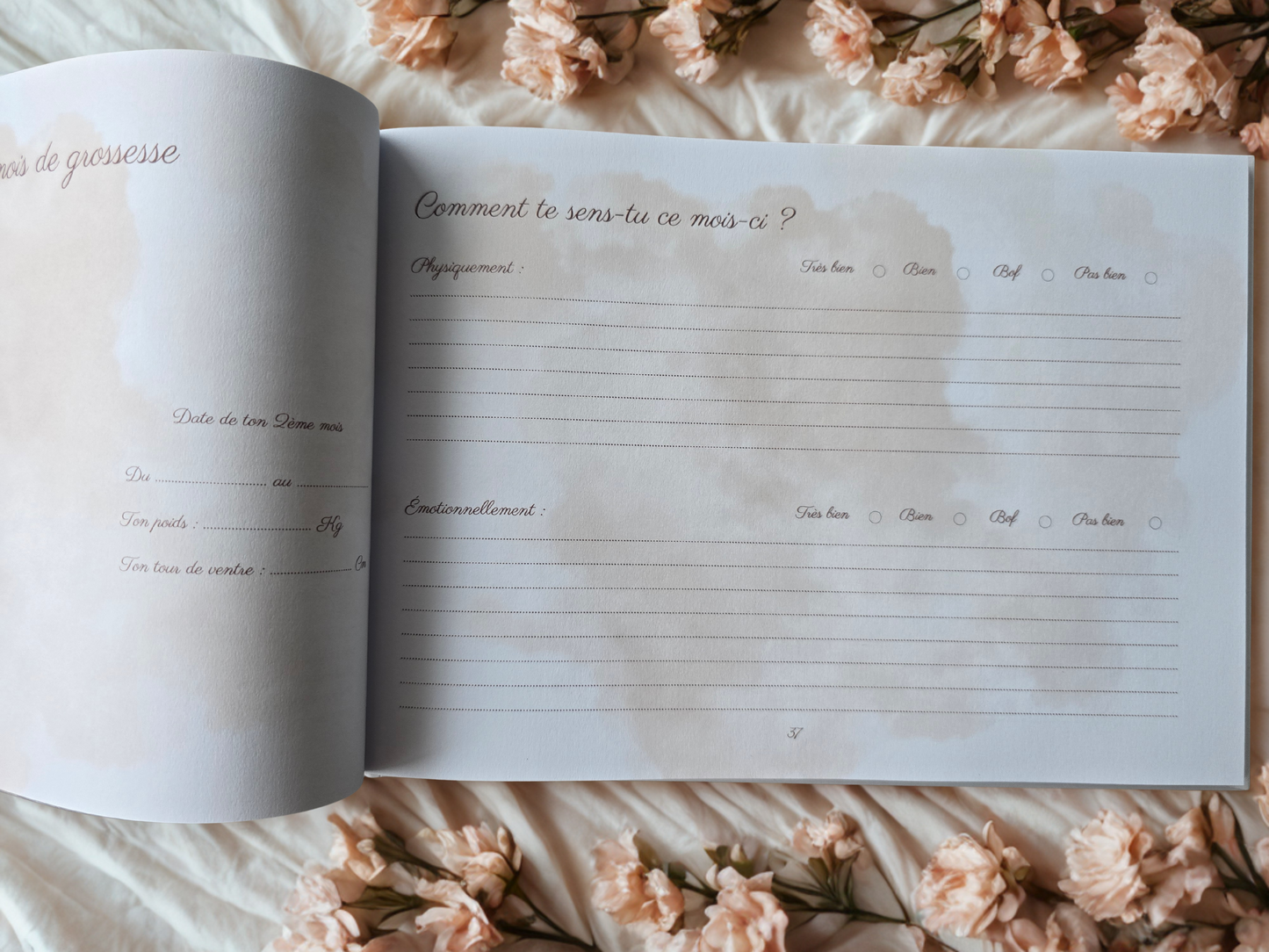 Journal de grossesse Mamely
