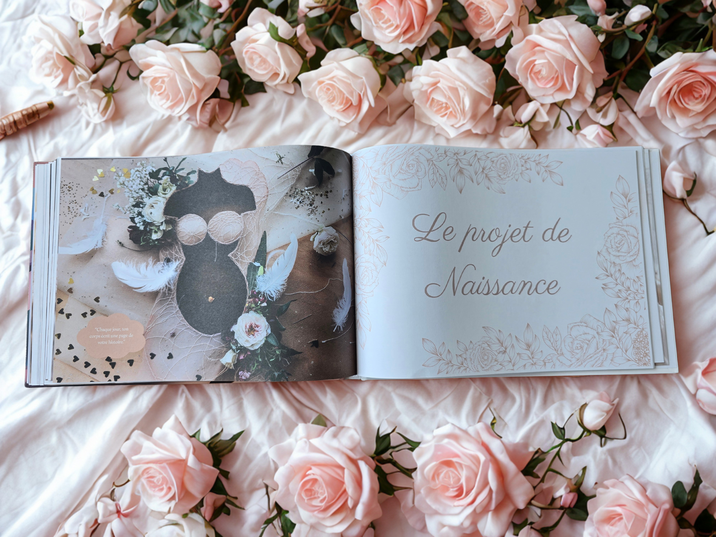 Journal de grossesse Mamely