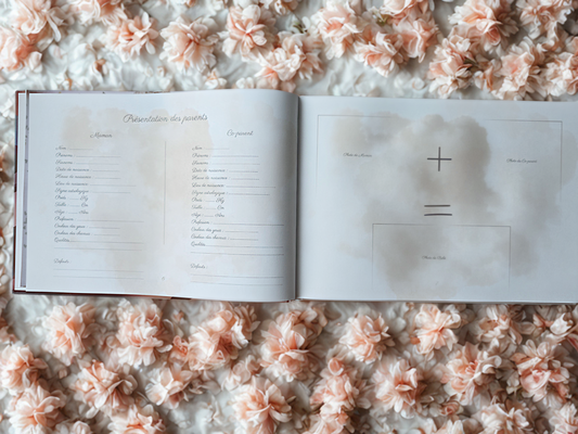 Journal de grossesse Mamely