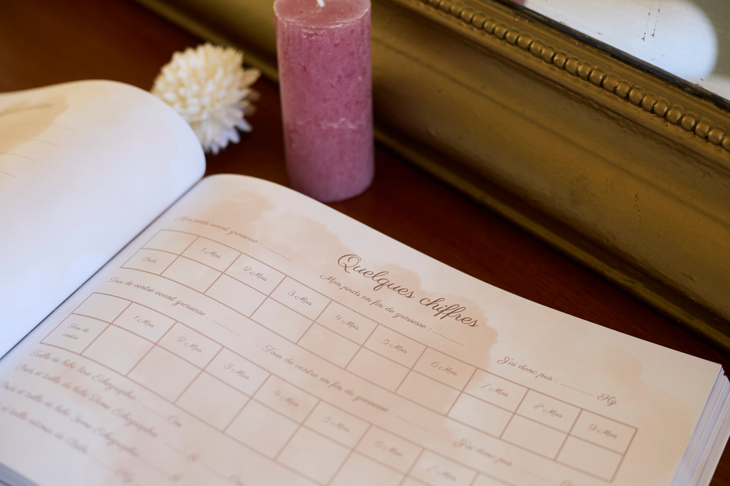 Journal de grossesse Mamely