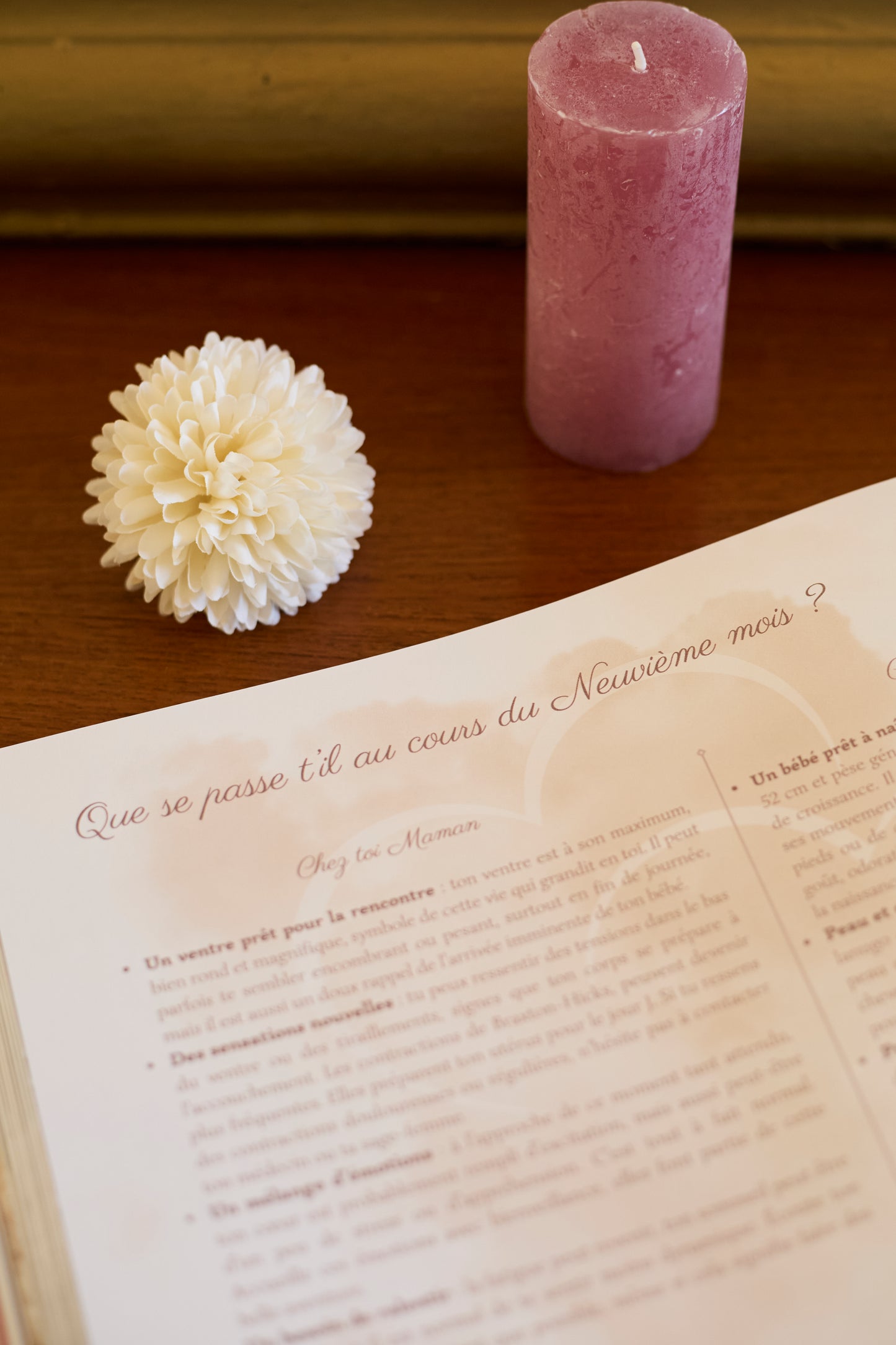 Journal de grossesse Mamely
