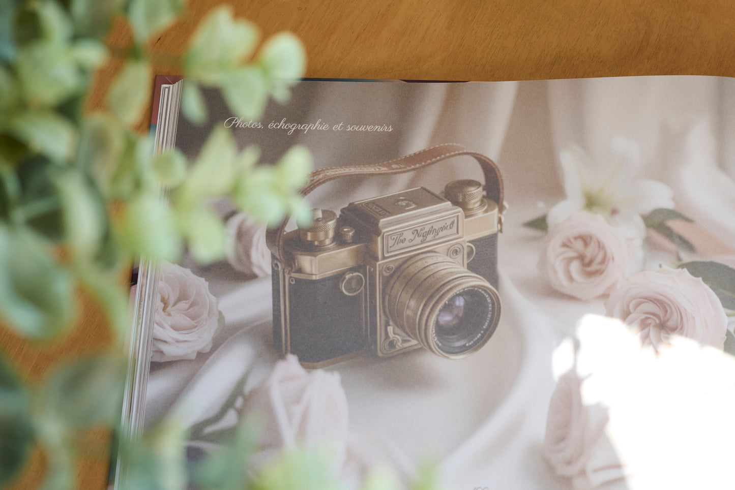 Journal de grossesse Mamely