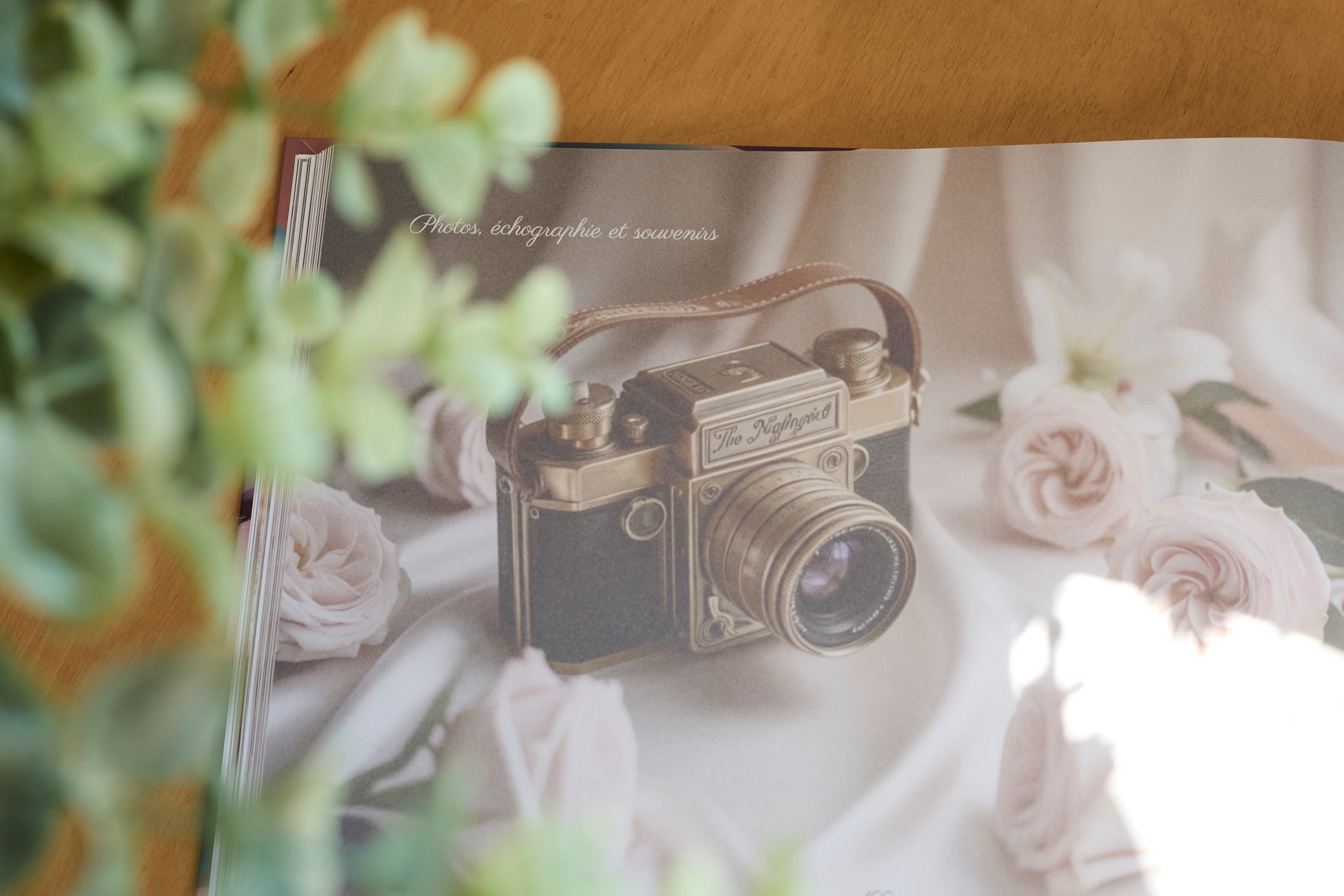 Journal de grossesse Mamely