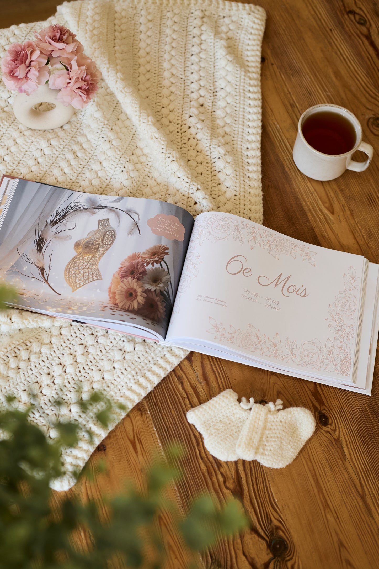 Journal de grossesse Mamely