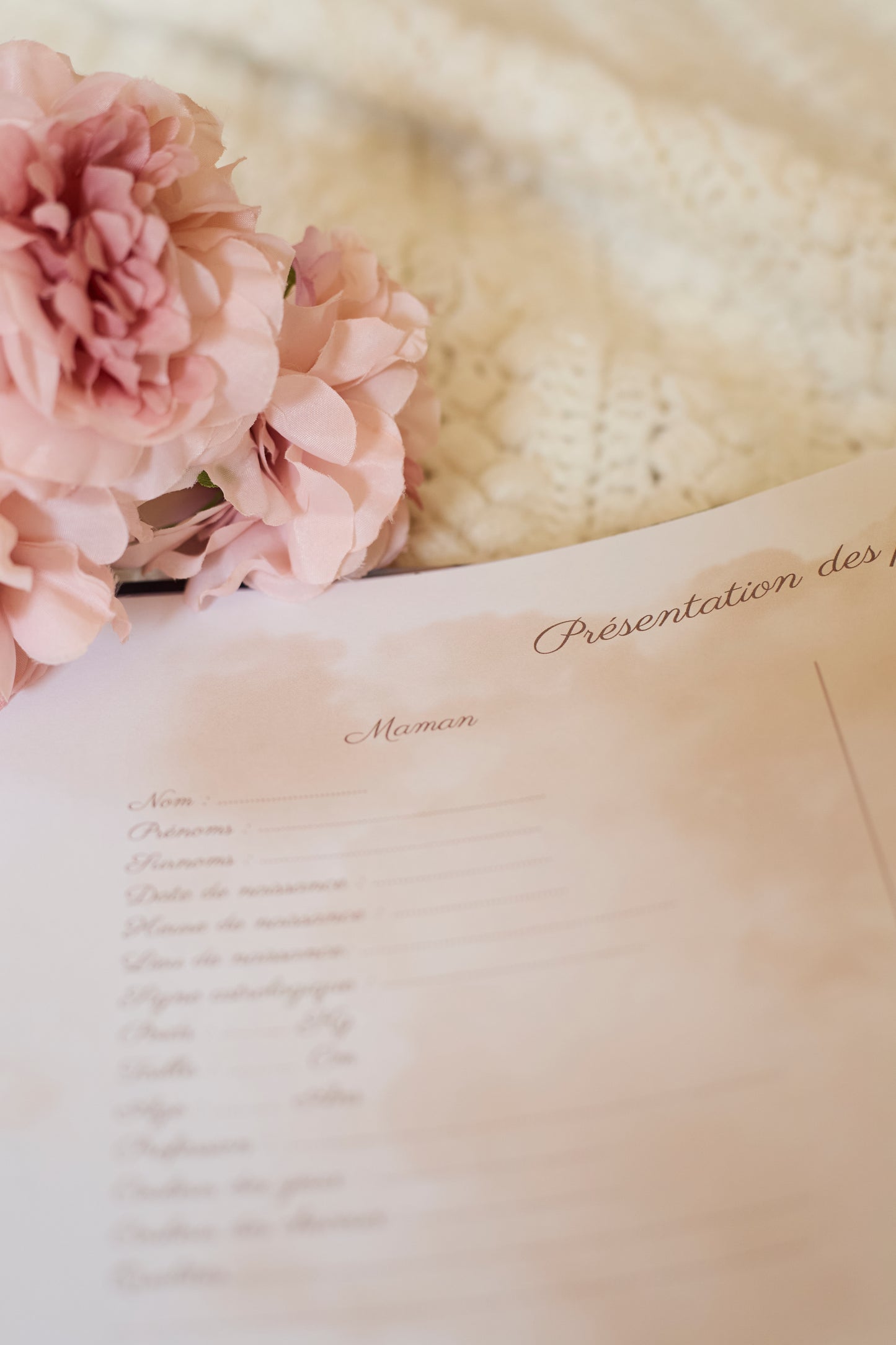Journal de grossesse Mamely