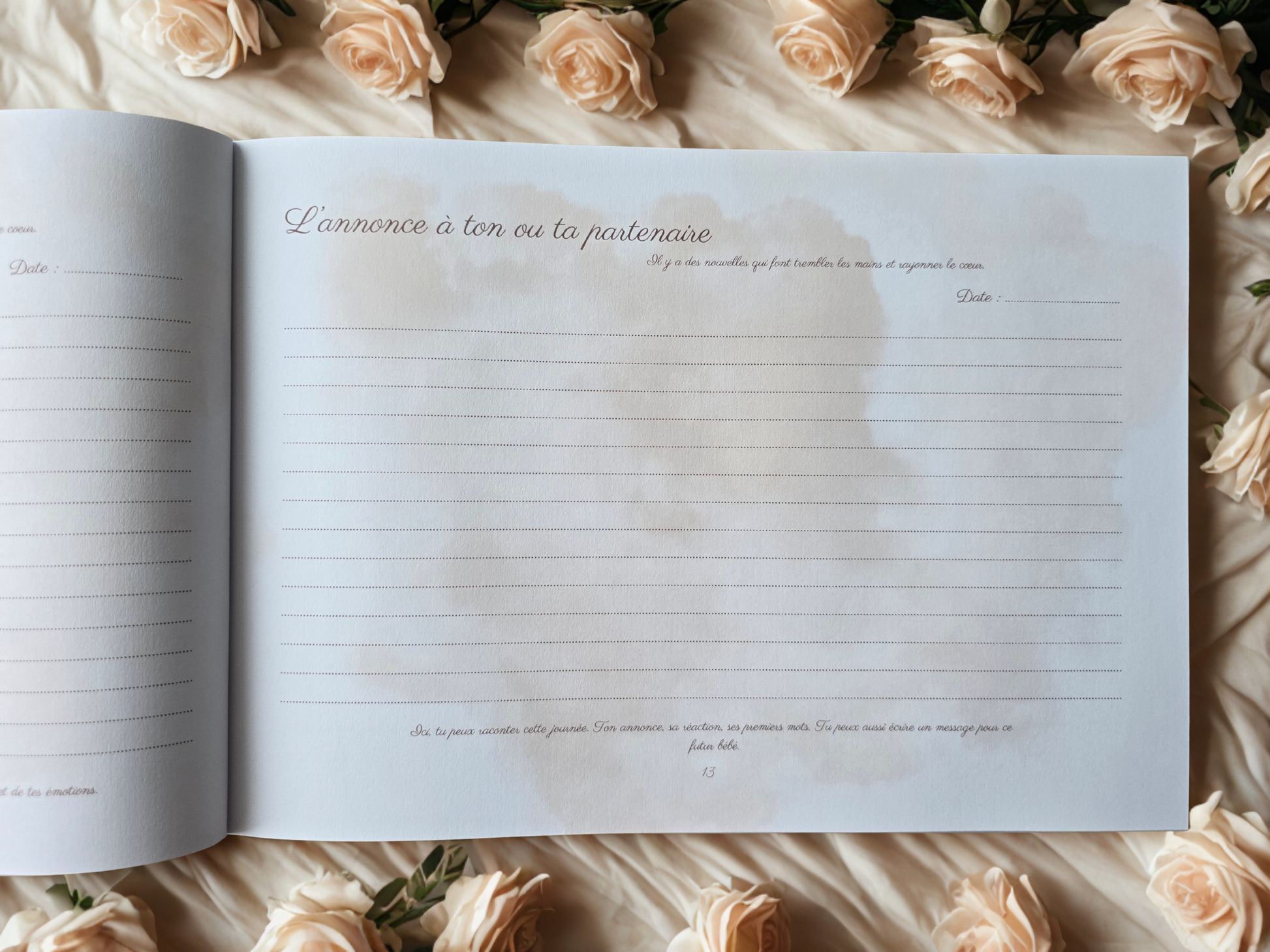 Journal de grossesse Mamely