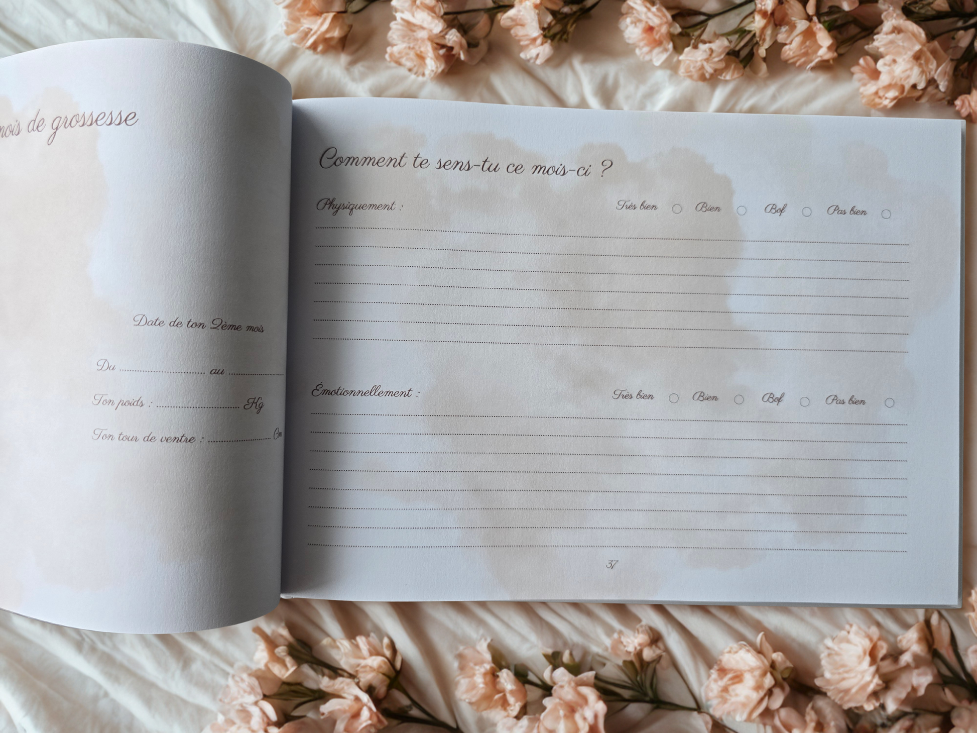 Journal de grossesse Mamely
